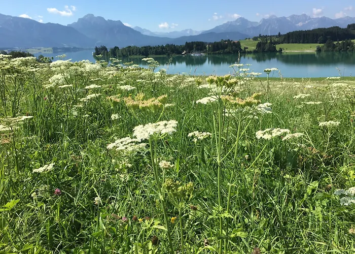 Old Kings Design Hostel